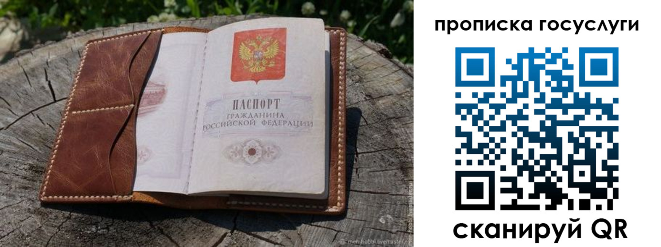 прописка для школы в Рассказово
